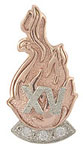 selmon award pin 15 year
