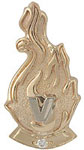 selmon award pin 5 year