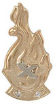 selmon award pin 10 year
